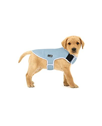 Pecute Chaleco refrigerante para Perros Chaleco de Enfriamiento para Perros de...
