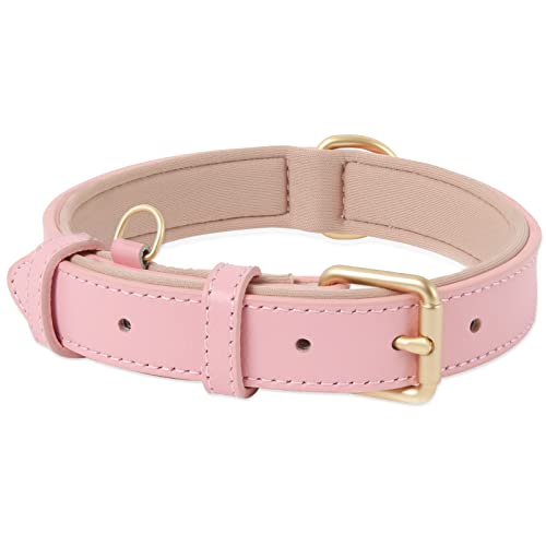 HEELE Collar Perro, Collar de Perro Cómodo y Duradero, Ajustable y con...