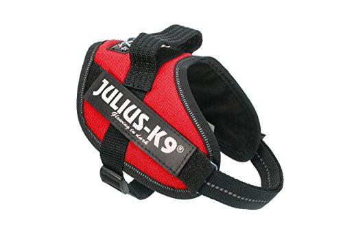 Julius-K9, Arnés IDC Power, Tamaño: XS / Mini-Mini, Rojo
