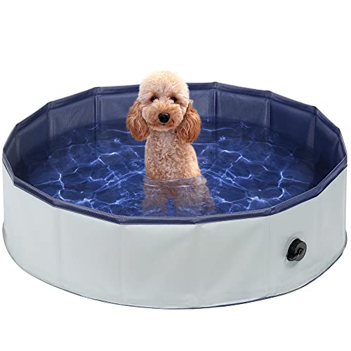 Petace Piscina para Perros 80x20 cm, Piscina Perros Pequeños, Piscina de Perros...