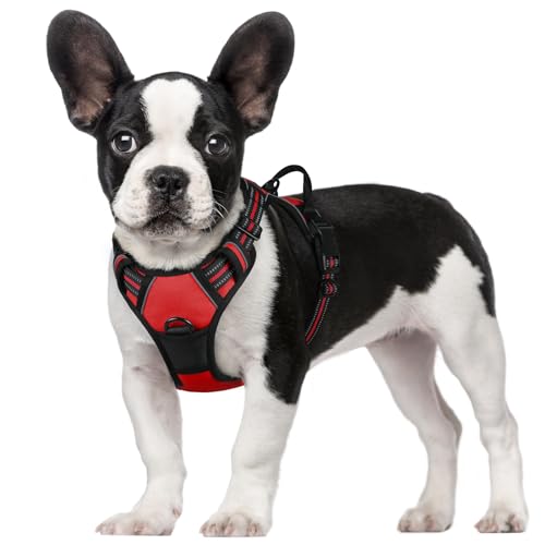 rabbitgoo Arnes Perro Pequeño, Arnes Perro Antitirones Coche con Lineas...