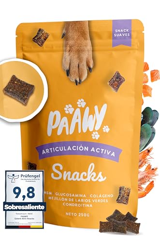 Paawy Condroprotector Perros con Glucosamina, Condroitina, MSM I para Las...