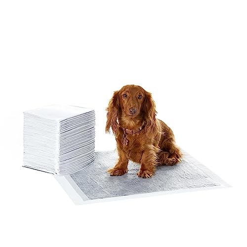 Amazon Basics Almohadillas de adiestramiento de perros y cachorros, carbón para...