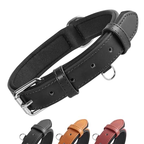 Grand Line Collar de Perro de Cuero, Collare Ancho y Grueso con Suave...