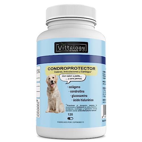 VITTALOGY Condroprotector para Perros. Antiinflamatorio Natural con Colágeno,...
