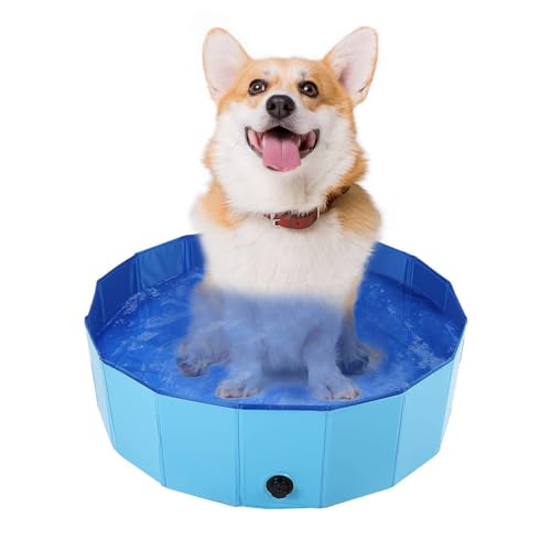 Piscina Infantil, Piscina Plegable para Perros, Piscina para Mascotas Perros,...