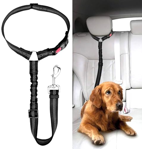 Cinturon Perro Coche, Arnes Coche Perro Homologado, Correa Perro Coche Cinturón...