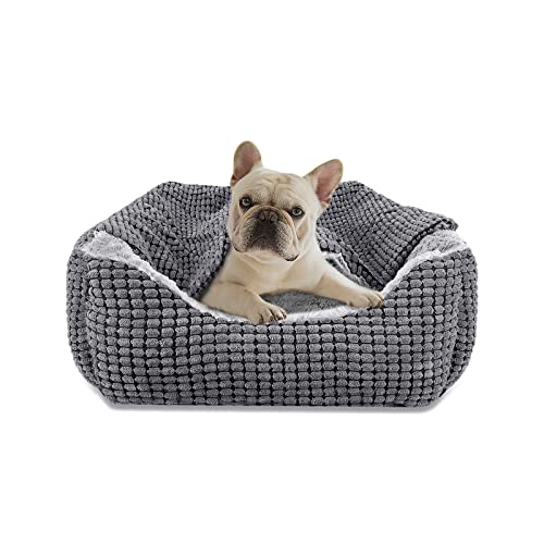 JOEJOY Cama Perro con Manta, Cama Perros Pequeños Lavable, Cama para Perros...