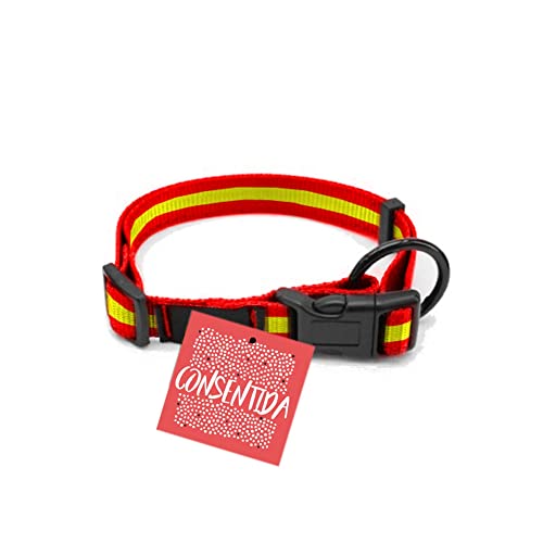 Collar para Perros Pequeños T1 - 20 - 35 x 1 cm - Fabricado en Nylon - Diseño...
