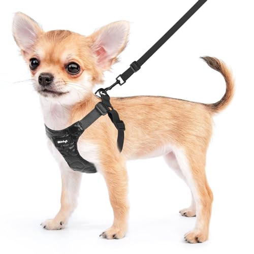 Wdmiya Arnes Perro Pequeño Mediano, Arnes Ajustable con Correa, Chaleco Cómodo...