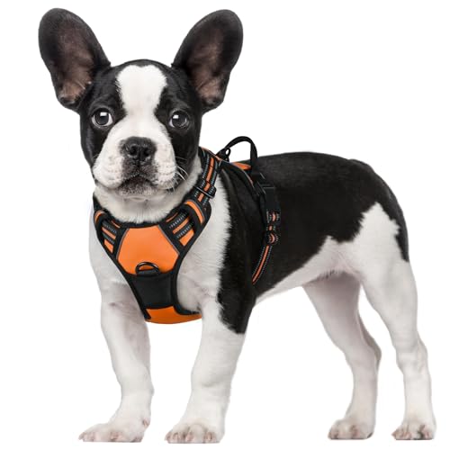 rabbitgoo Arnes Antitirones Perro Ajustable con Lineas Reflectantes Arnés Coche...