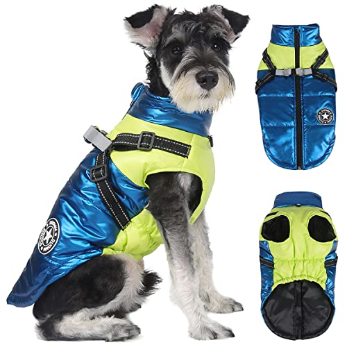 Perro Chaqueta Otoño Invierno, RosyFate Chaleco Mascota Pequeño, Abrigo Perro...