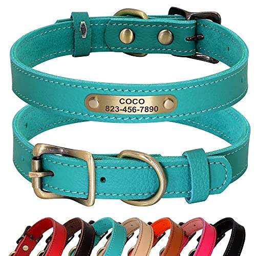 PET ARTIST Personalizado Collar de Perro de Cuero Genuino, Ligero y Suave...