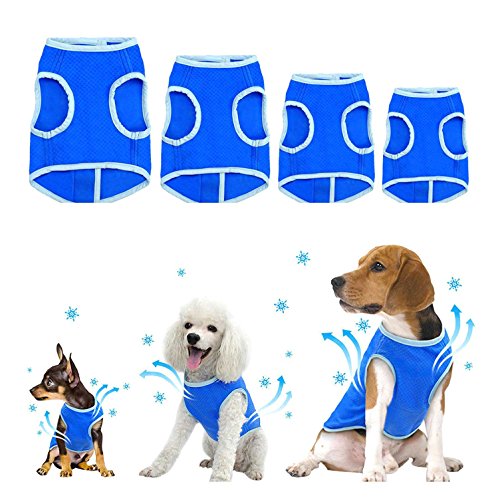 Zunea - Chaleco de refrigeración para Perros pequeños, medianos y Grandes,...