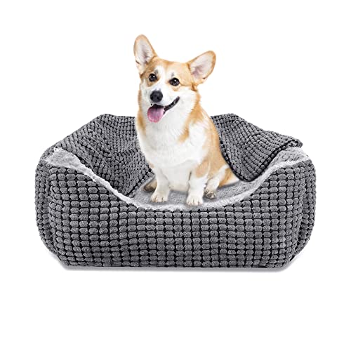 JOEJOY Cama Perro con Manta, Cama Perros medianos Lavable, Cama para Perros...