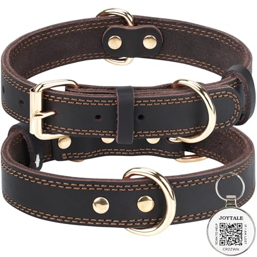 Joytale Collar Perro Cuero, Cuello de Suave Cuero Auténtica Ajustable con...