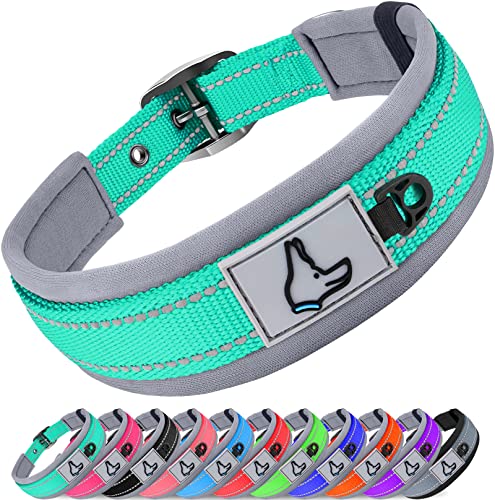Joytale Collar Perro, Resistente Collar Perro Pequeño, Reflectante Ajustable...