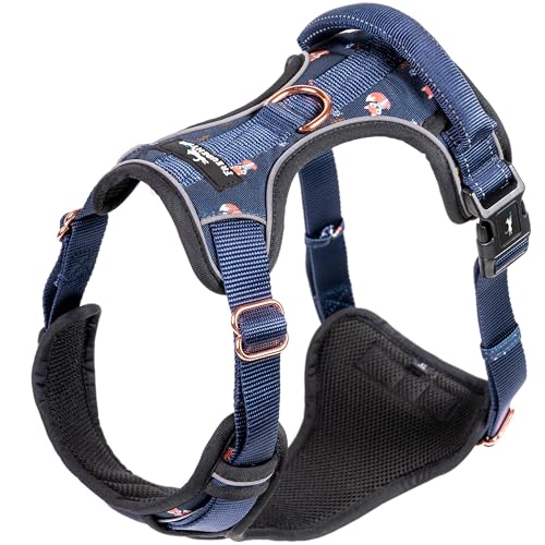 Arnés para Perros - Let’s Get Foxy - excepcionalmente Elegante y con...