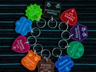 placas identificativas mini pinscher