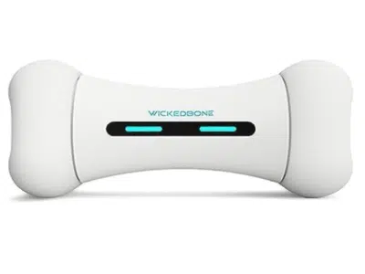 wickedbone_-juguete-interactivo-para-perro
