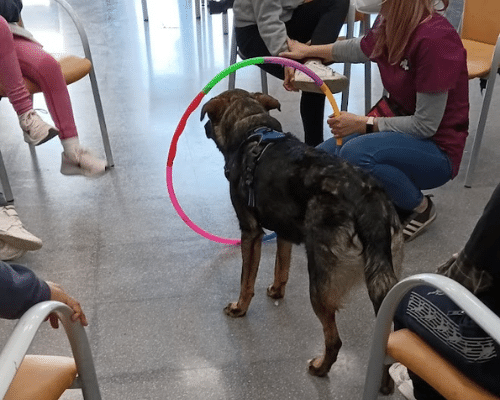 intervencion asistida con perros con niños en grupo