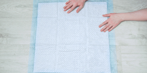 empapadores absorbentes para perros