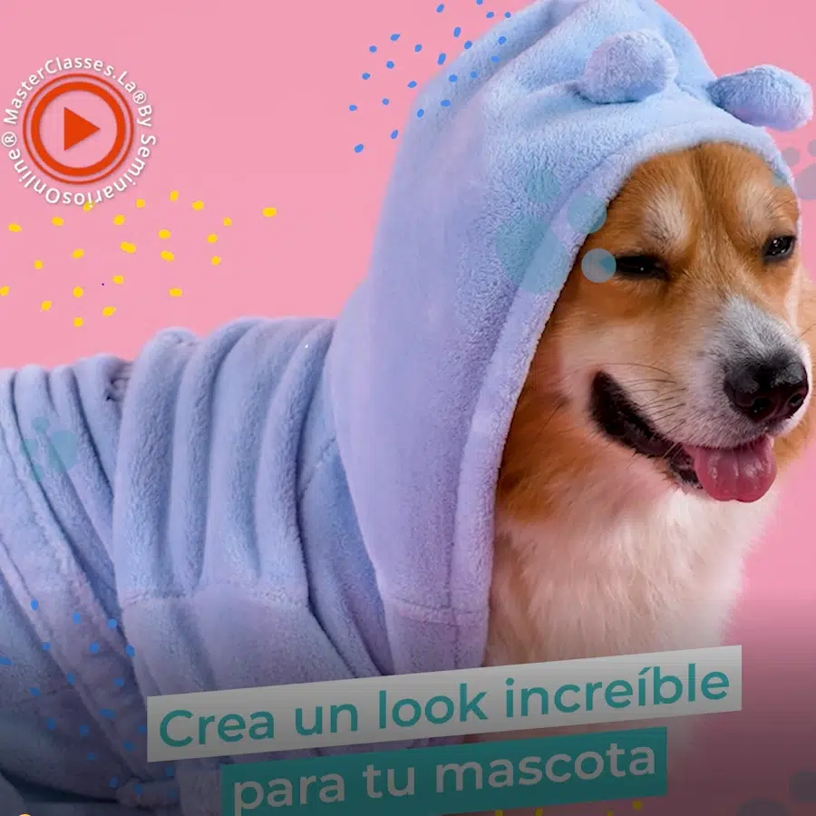 costura ropa para perritos