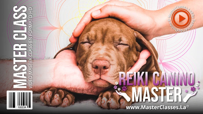 reiki mini pincher