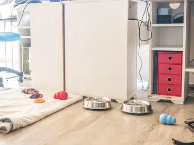 accesorios para mini pinscher
