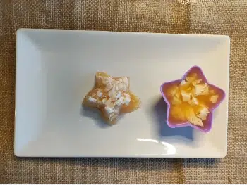 gelatina para mini pincher portada