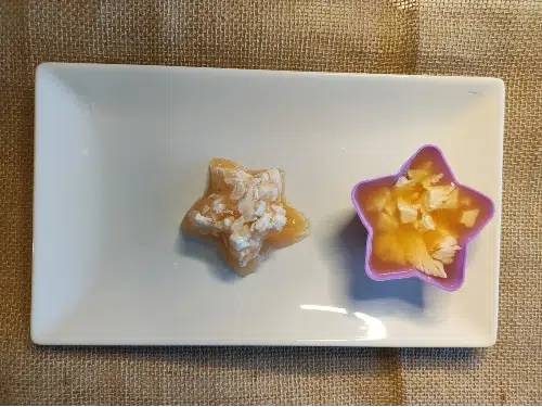 gelatina para mini pincher
