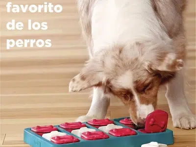 juguete interactivo para mini pinscher