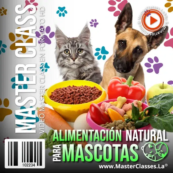 alimentacion natural para mascotas