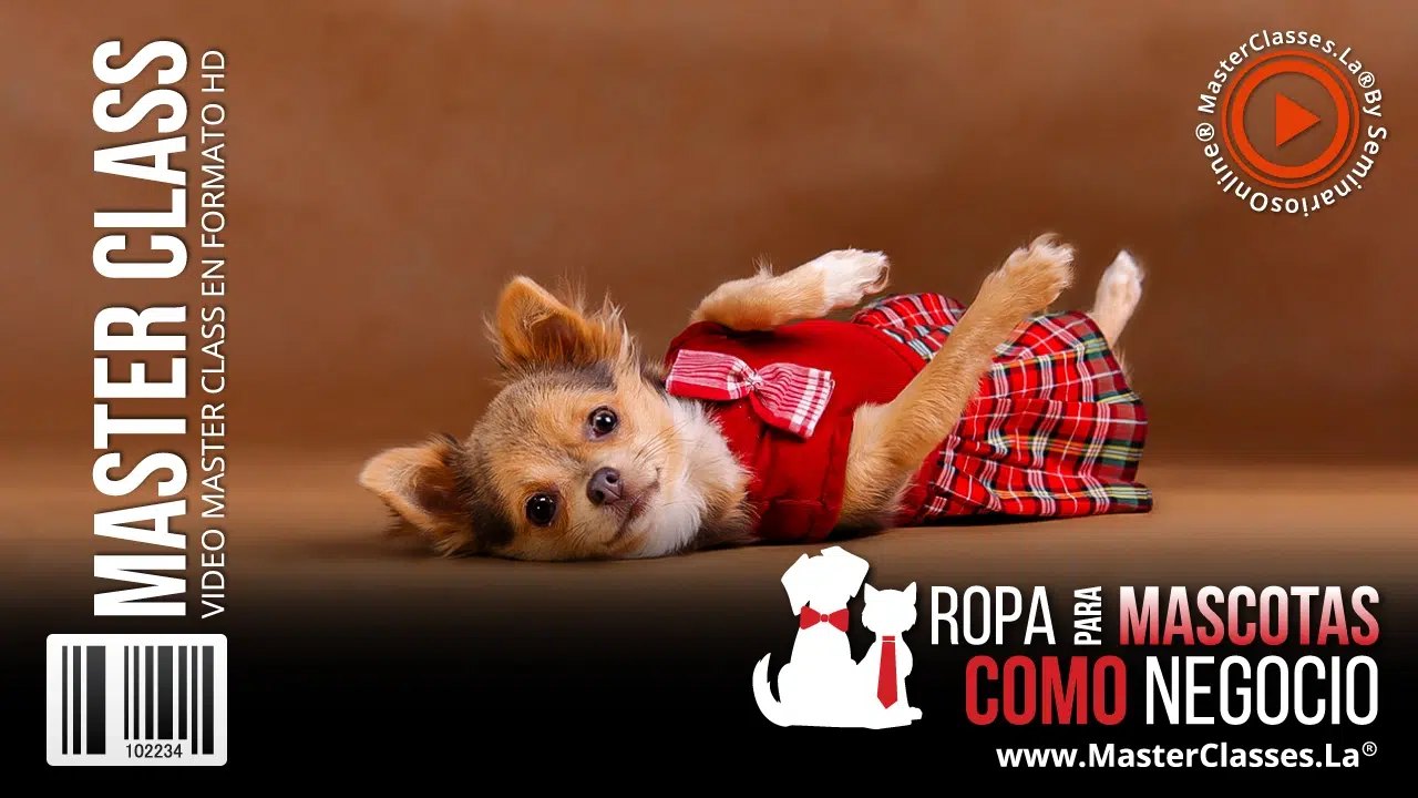 emprender con ropa para perritos