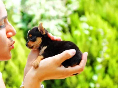nombres para perritas segun raza