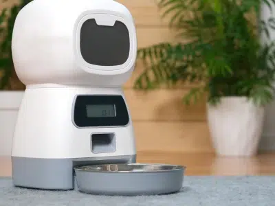 comedero automatico perros