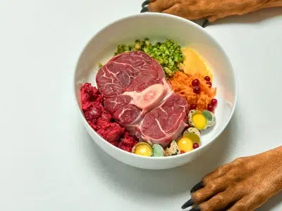 alimentacion barf perros pequeños dieta