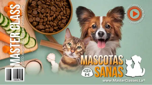 perros sanos alimentacion barf