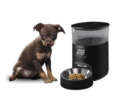 alimentador automatico para perros