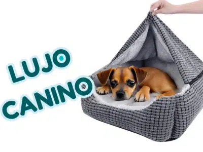 cama para pinscher mini