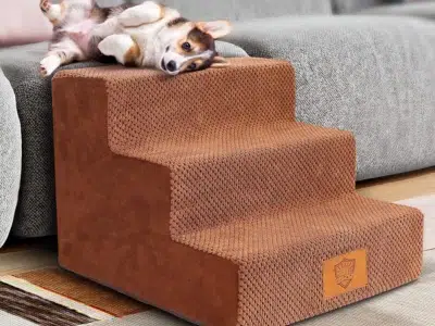 escalera para pinscher miniatura