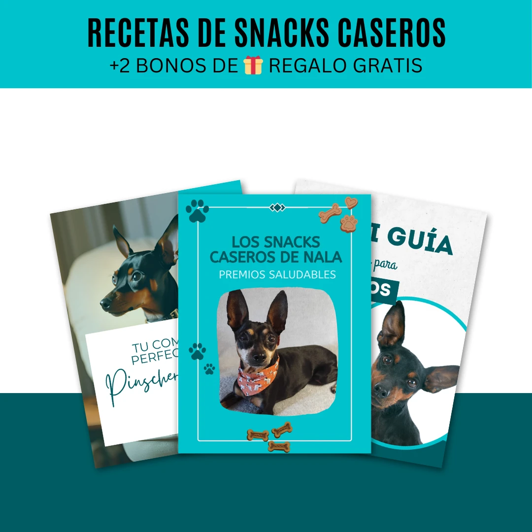 snacks saludables para perros