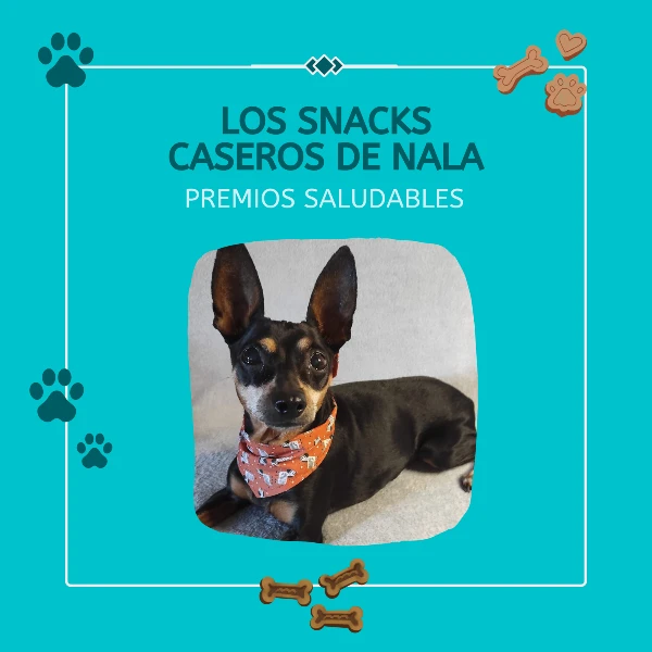 snacks caseros para perros