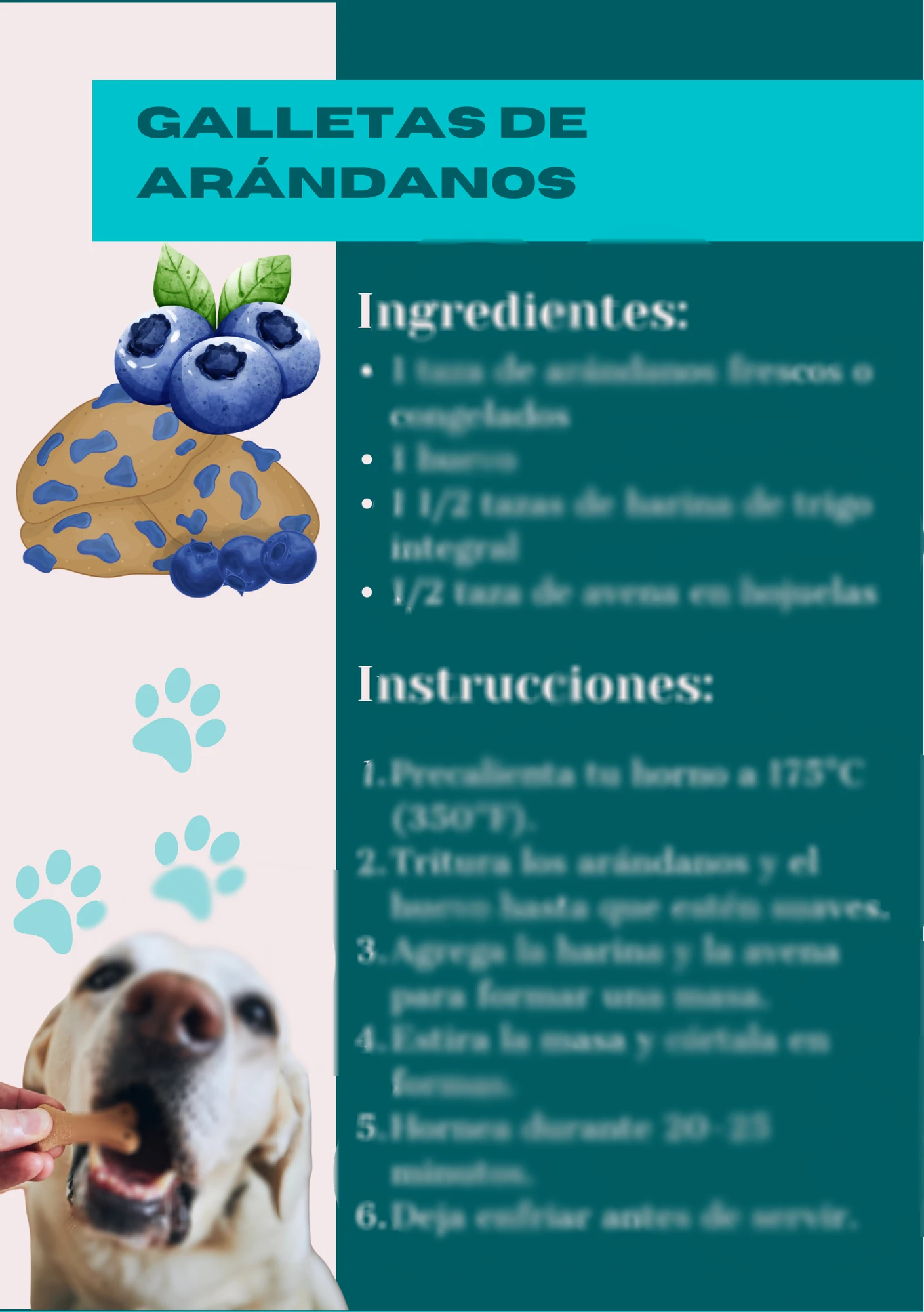 RECETA SNACKS PERROS 2